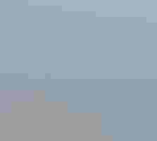 birds flying
