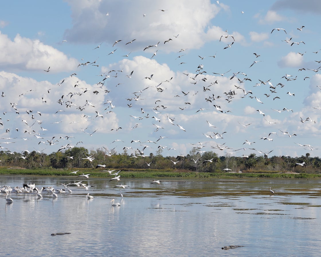 Merritt Canal restored. Photo: Ken Humiston