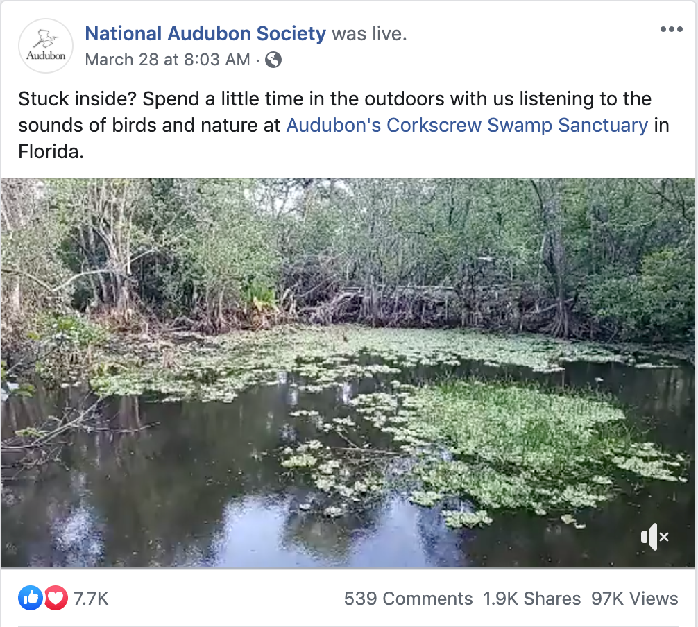 A screenshot of the Facebook Live event featuring Corkscrew.