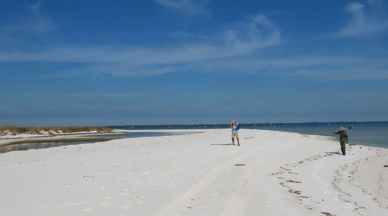 A beach with a man posting a wooden stake, with Gulf of Mexico in the background.