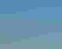 A beach with signs and flagging and birds.