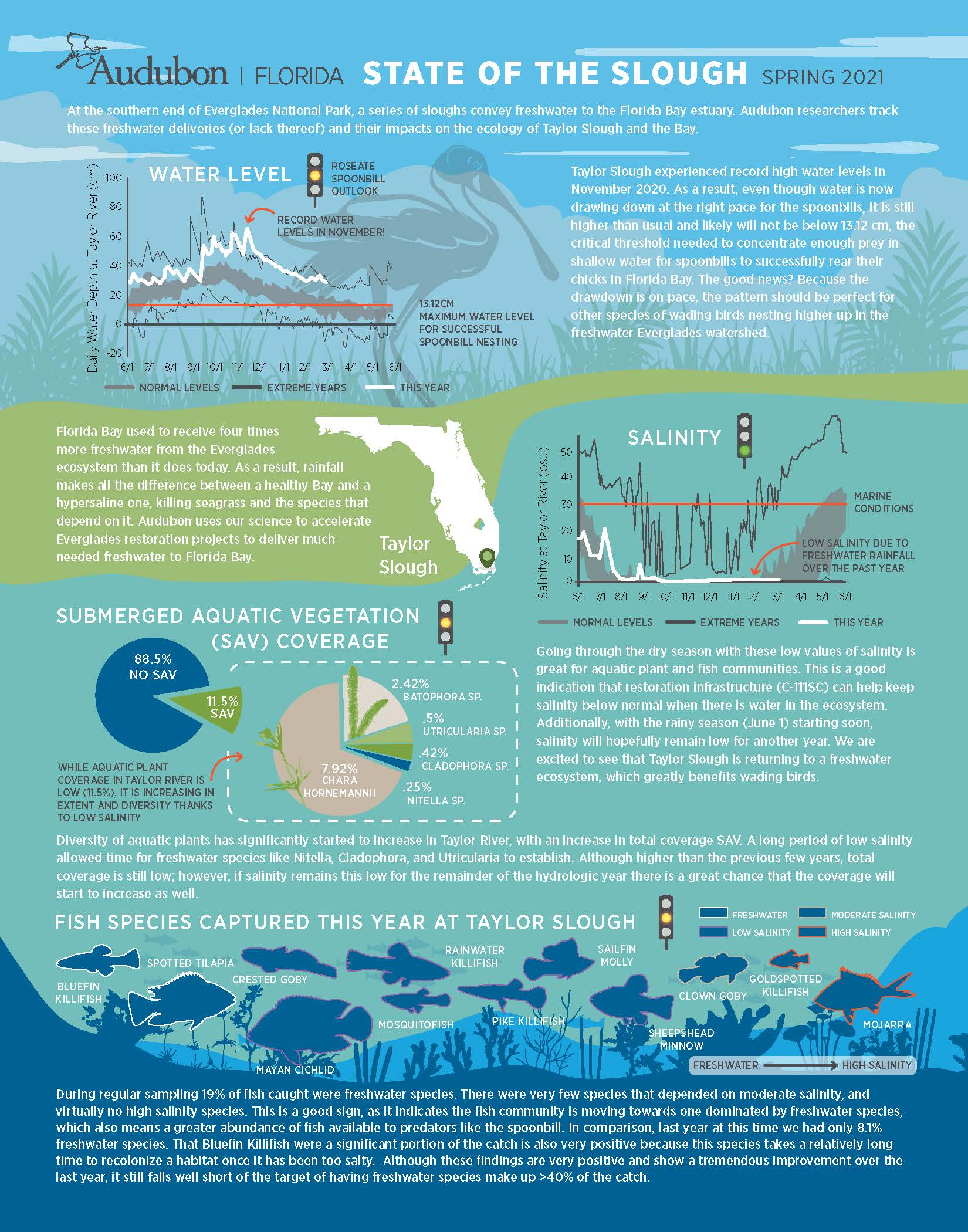 State of the Slough infographic