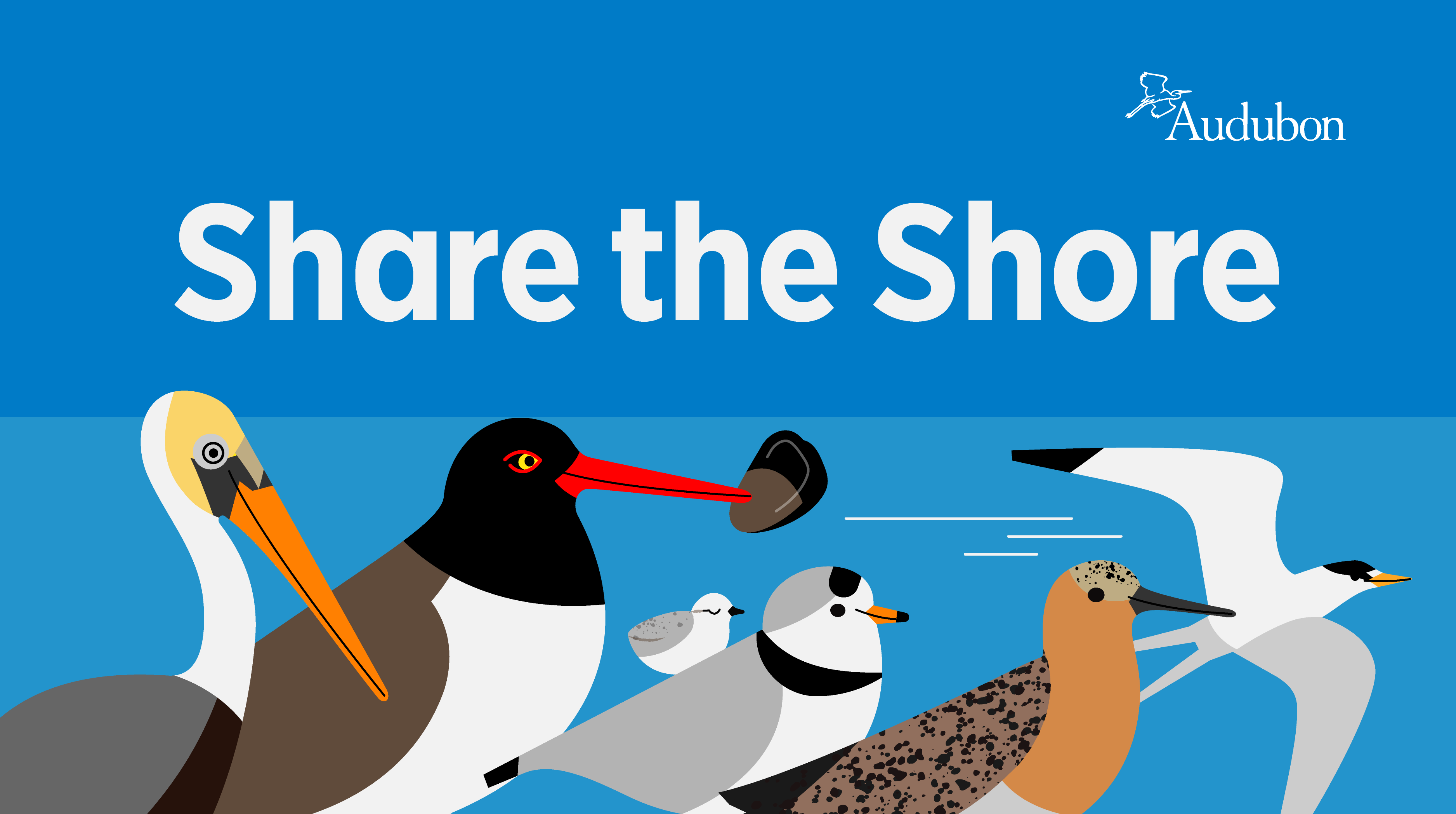 Share the Shore