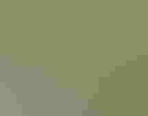 A person holding a thermometer in the swamp.