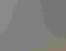 A clinic staff member carefully holds a Bald Eagle in her arms as the team prepares to care for the injured raptor.