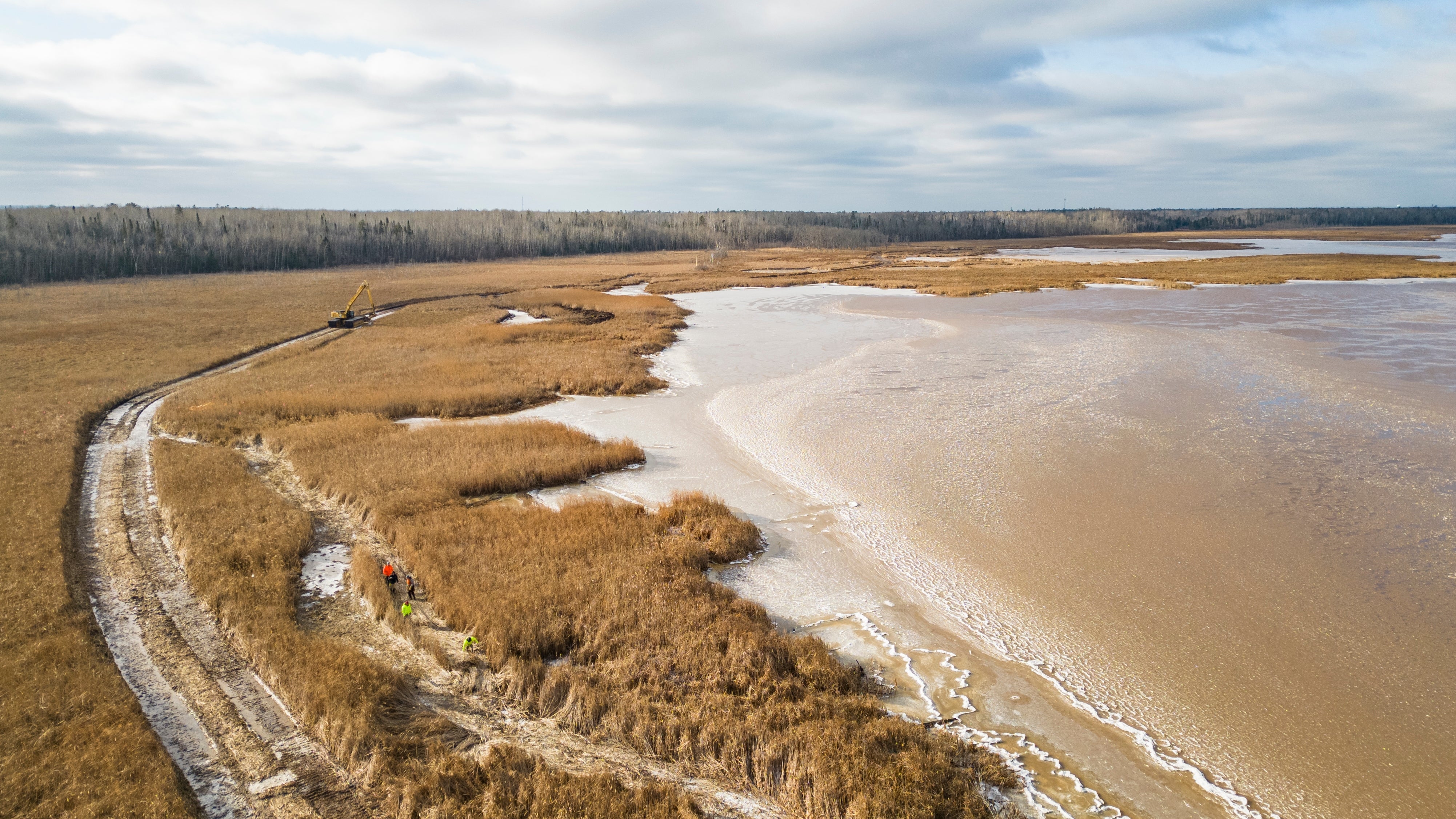 Aerial image of wetlands at Wisconsin Point, Allouez Bay, WI. Photo: Sydney Walsh/Audubon