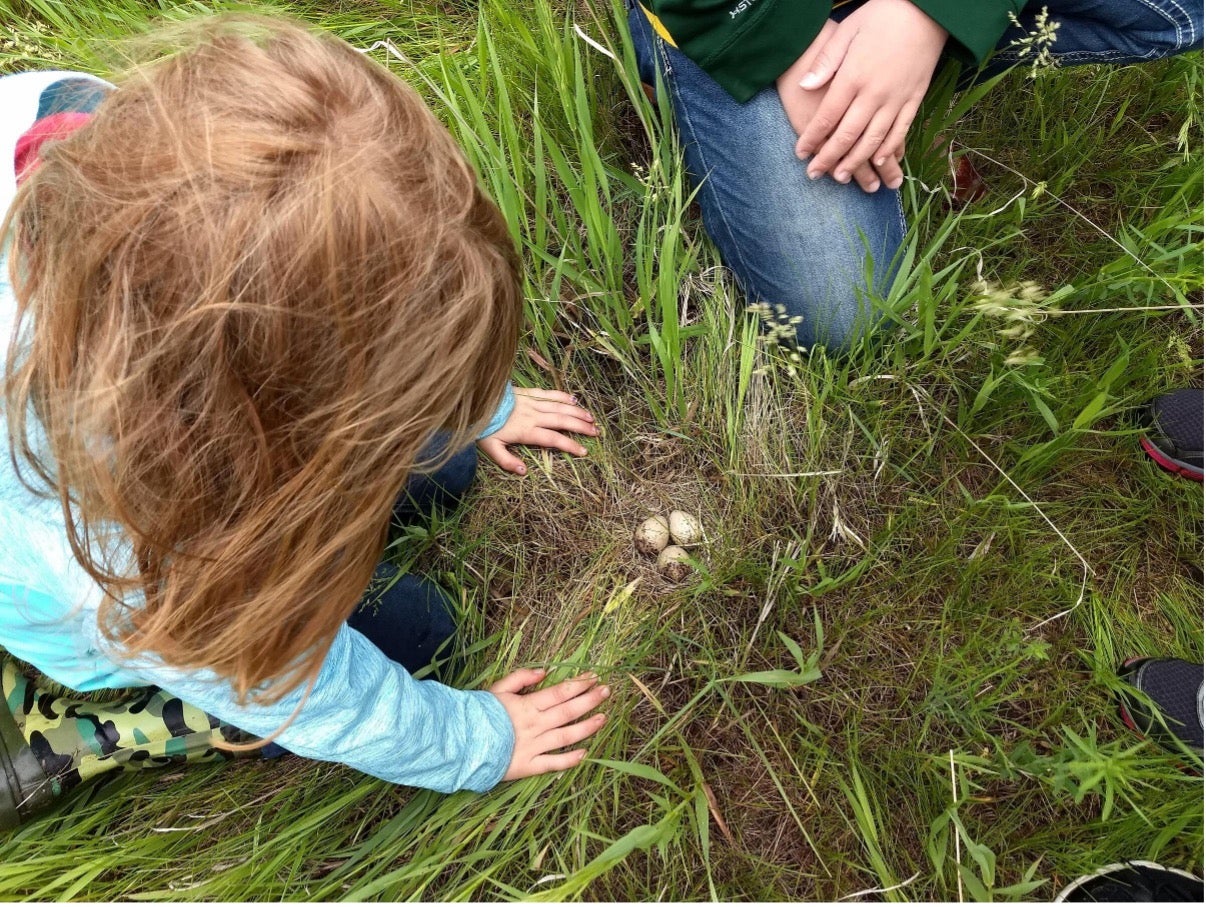 Kids programming at Brigham Sanctuary. Mike Bush/Audubon
