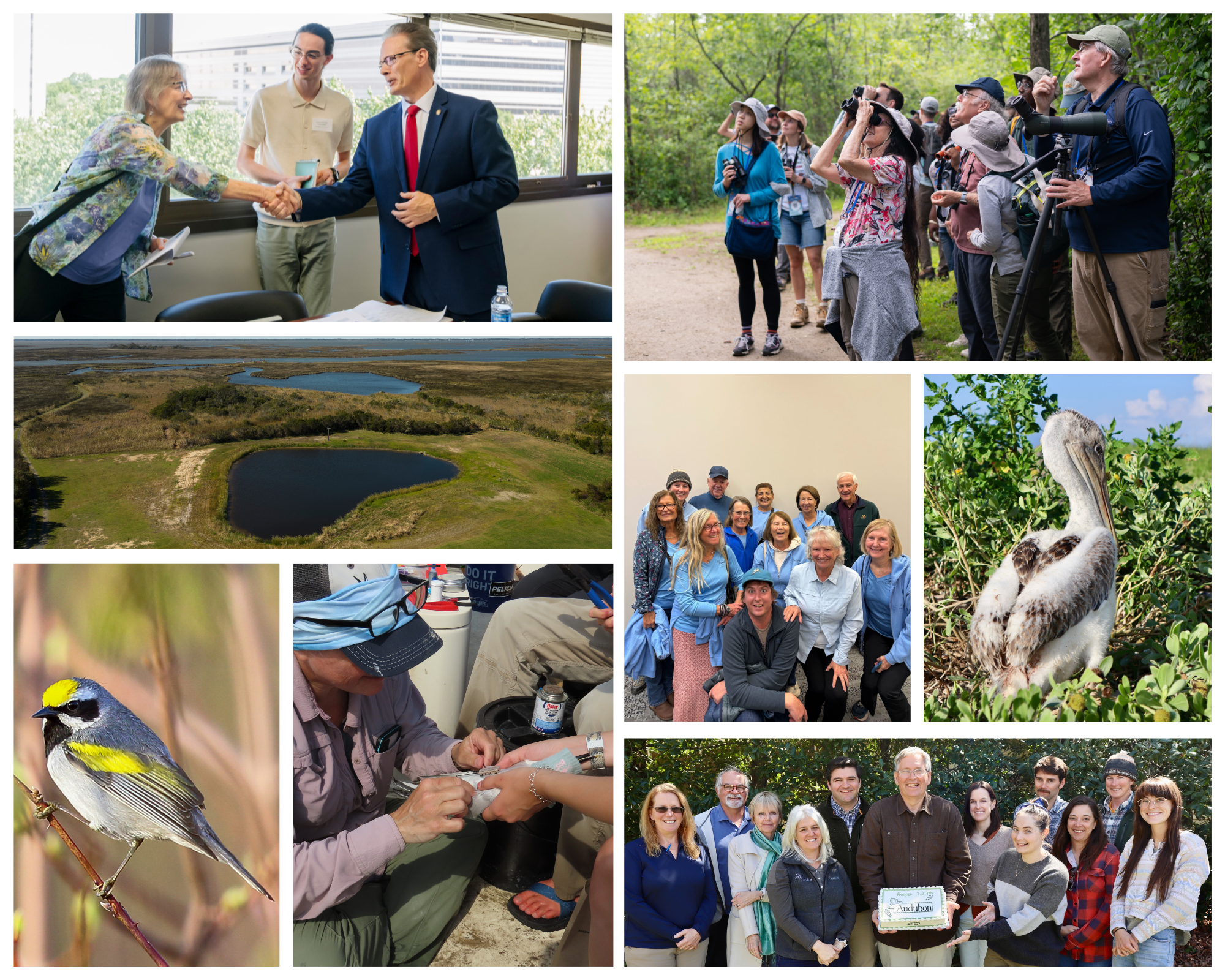 Clockwise from top left: Forsyth Audubon with Senator Steve Jarvis. Photo: Liz Condo; Curtis Smalling leading a bird walk during the leadership conference. Photo: Gabrielle Saleh/Audubon; Brown Pelican chick. Photo: Brittany Salmons/Audubon; Audubon North