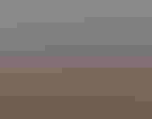 Dusty Downey with cattle on the Downey Ranch.