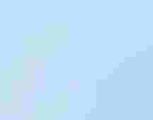 Western Meadowlark tracks.