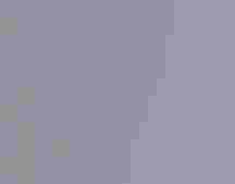 Lesser Yellowlegs stretches in a wetland.