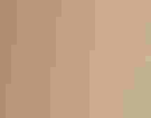 Long-billed Curlew flapping its wings.