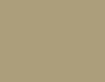 Marsh Wren.