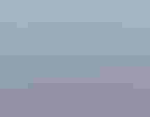 A Northern Harrier flies in the air.