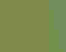Yellow Warbler.