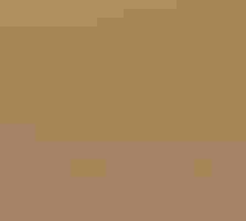 Burrowing Owl.
