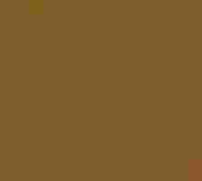 A Dark-eyed Junco perches on a branch of yellow and orange maple leaves.