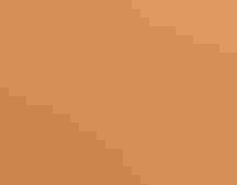 Three Double-crested Cormorants fly across a sky at sunset.