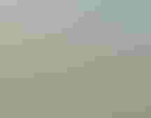 A man stands on a hill above sagebrush steppe.