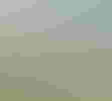 A man stands on a hill above sagebrush steppe.