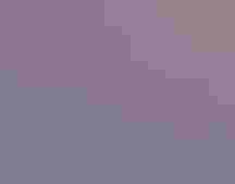 Greater Sage-Grouse displays at sunrise. Photo: Evan Barrientos/³Ô¹ÏºÚÁÏ Rockies