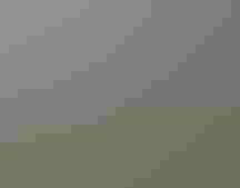 A stream surrounded by green vegetation flows through a canyon blackened by wildfire.