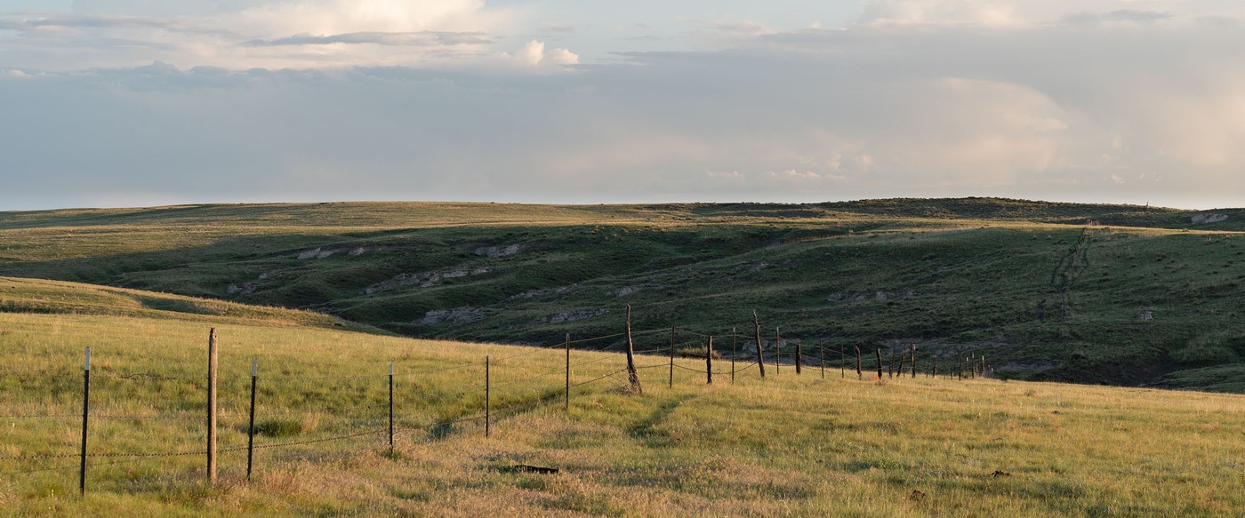 Conservation Ranching Reconciling Ranching and Conservation | Audubon