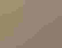 A Western Meadowlark sings.