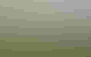 People walk across a grassy meadow.