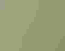 A Yellow-rumped Warbler perched on a branch.