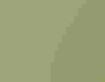 Yellow-rumped Warbler