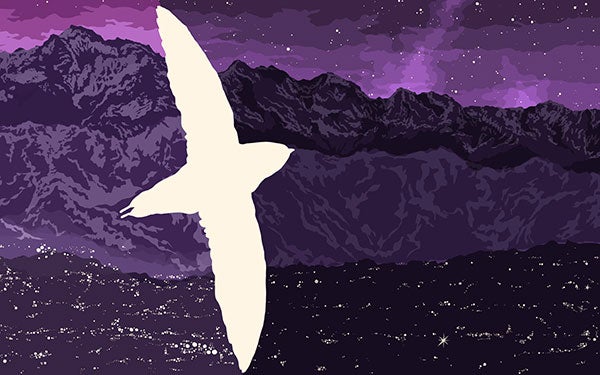 An illustration of a bird flying between brightly and dimly lit cities.