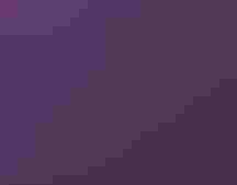 An illustration of a bird flying between brightly and dimly lit cities.