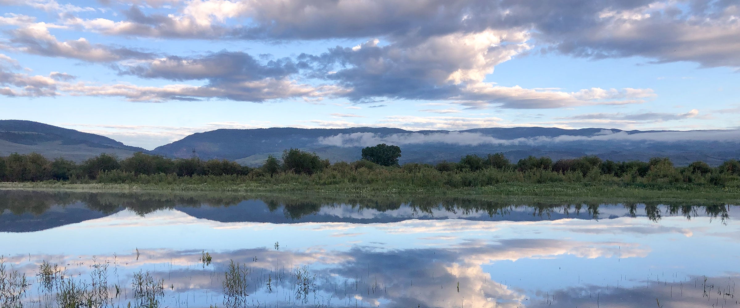 Sunrise over a wetland.
