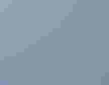 Sunrise over a wetland.