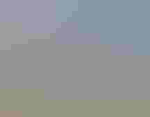 Sagebrush landscape.