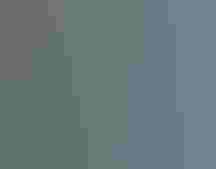 Narrlow-leaved penstemon (Penstemon angustifolius).