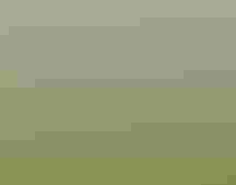 Three people stand in a stream surrounded by a lush meadow.