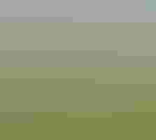 Three people stand in a stream surrounded by a lush meadow.