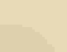 An American Avocet wades in shallow water.