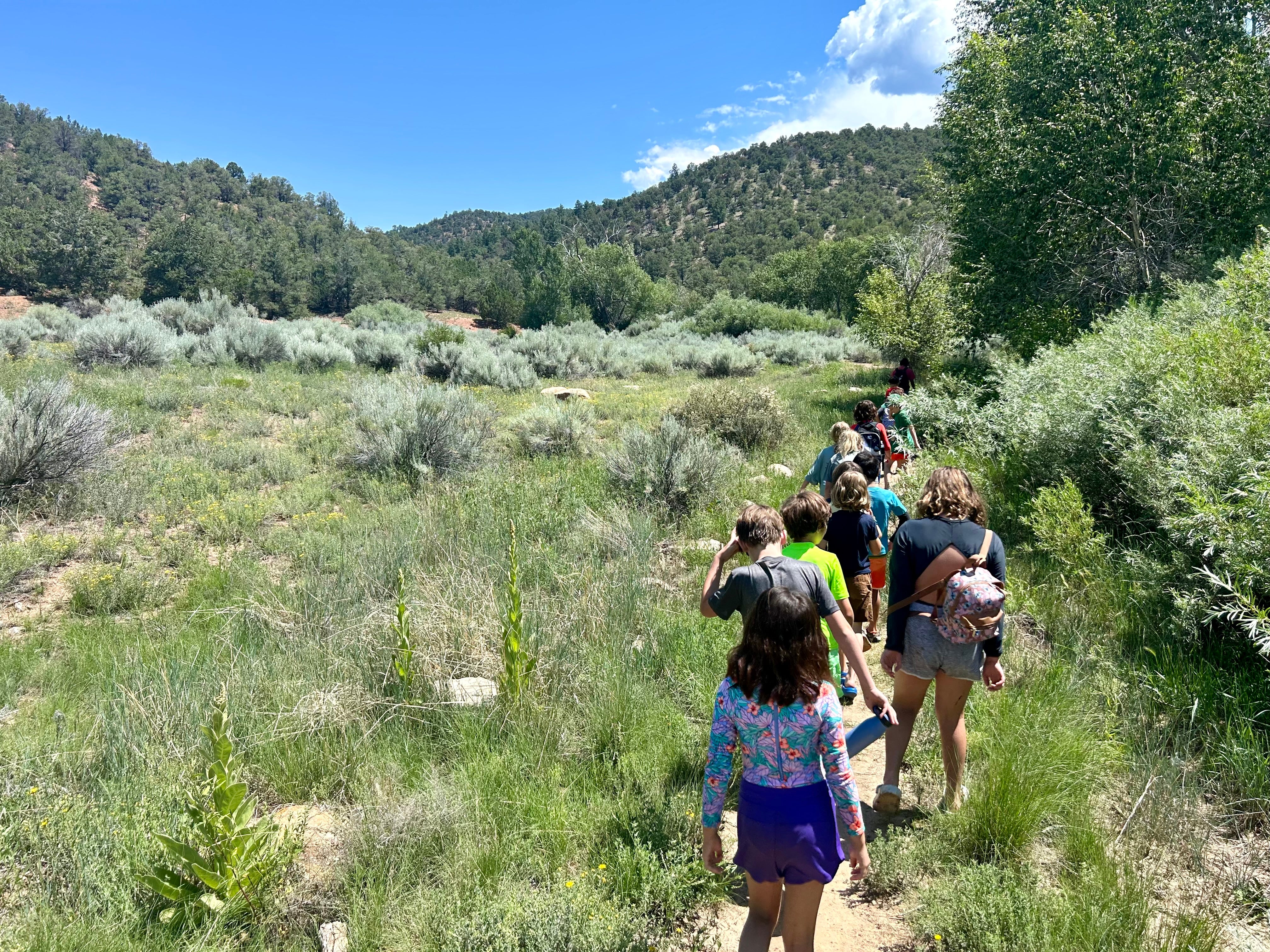 2024 Summer Campers at Randall Davey