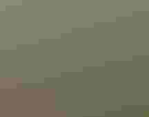 Deborah Reynolds yard in Minnesota