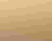 Prairie Grass Sunset by Jim Williams