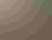 Kids pick prairie seeds