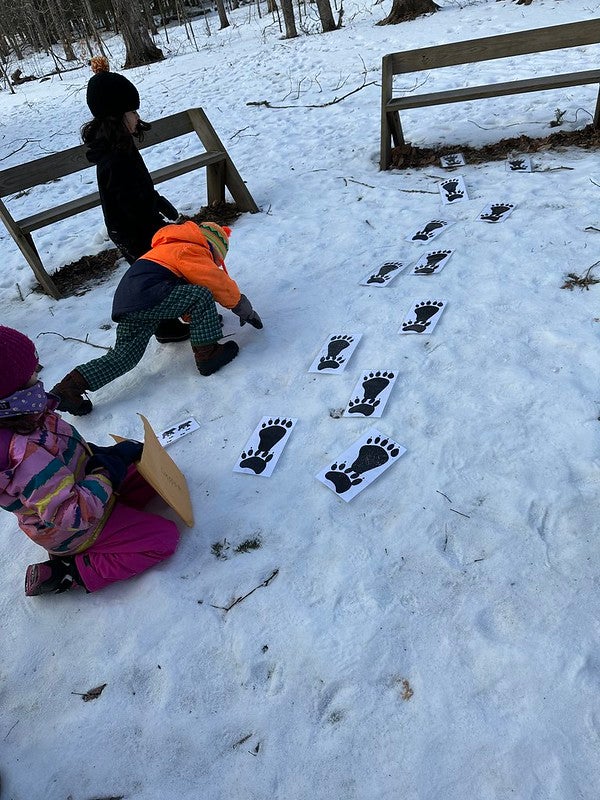 Students with animal pattern cards