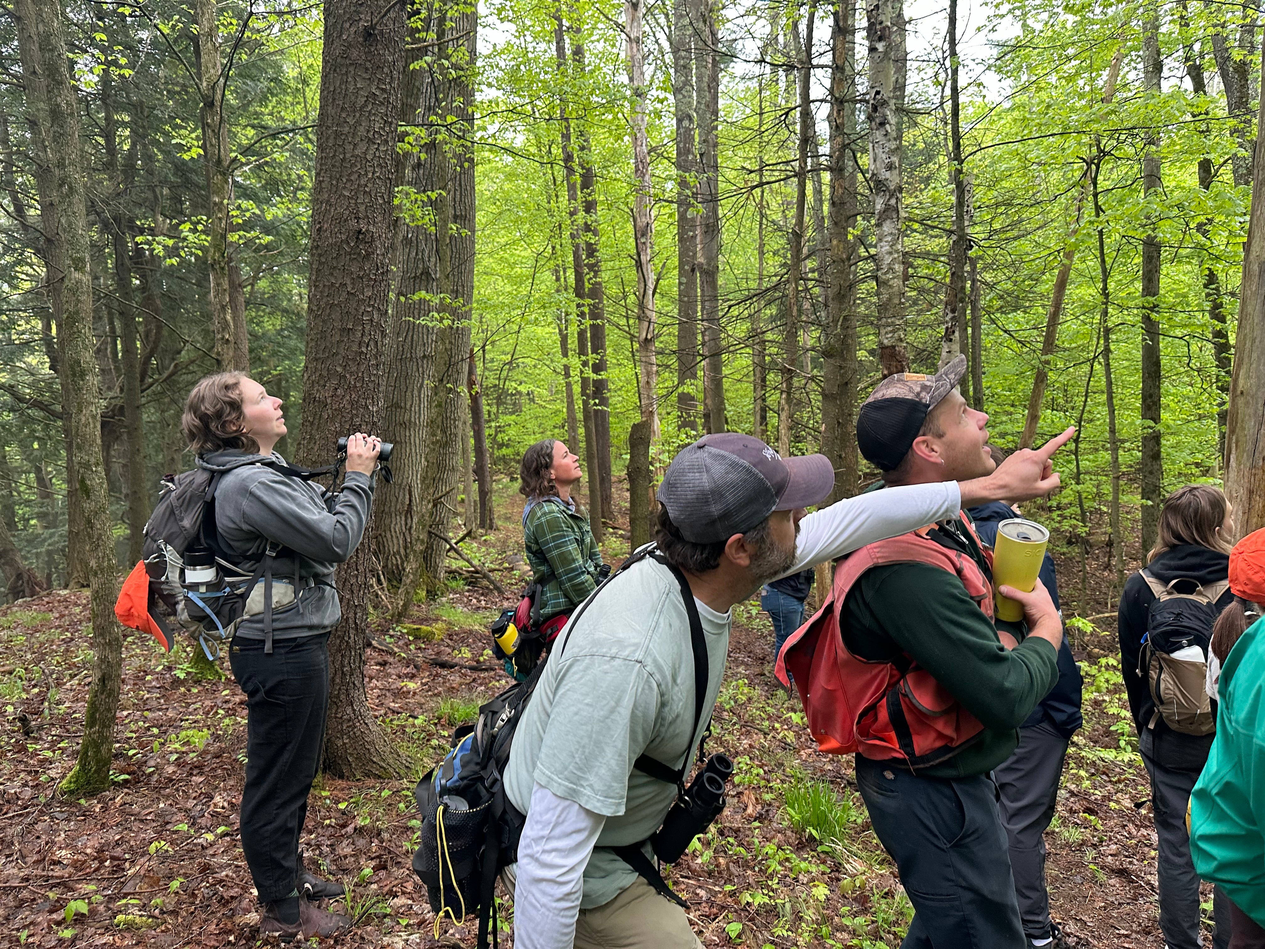 �ԹϺ��� Staff with binoculars