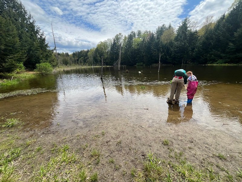 Students at beaver Pond