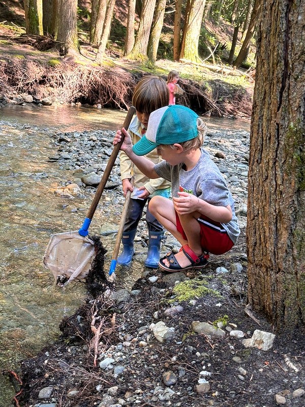 campers with nets at the brook