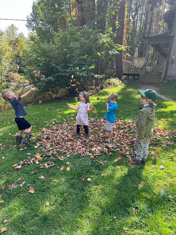 Students playing in leaves