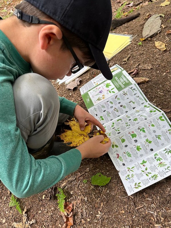 student with tree id book